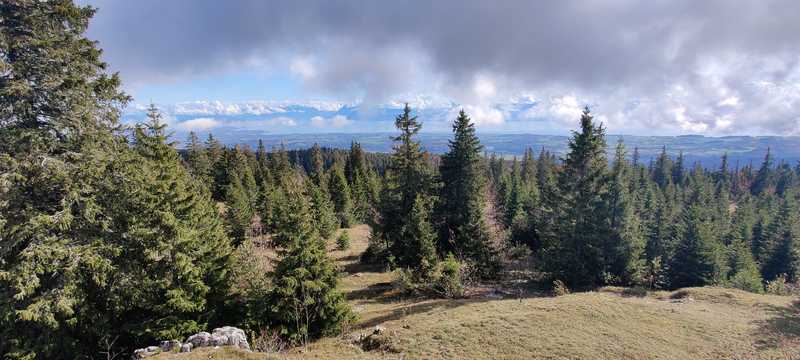 Col de Marchairuz : Mont Bière Devant