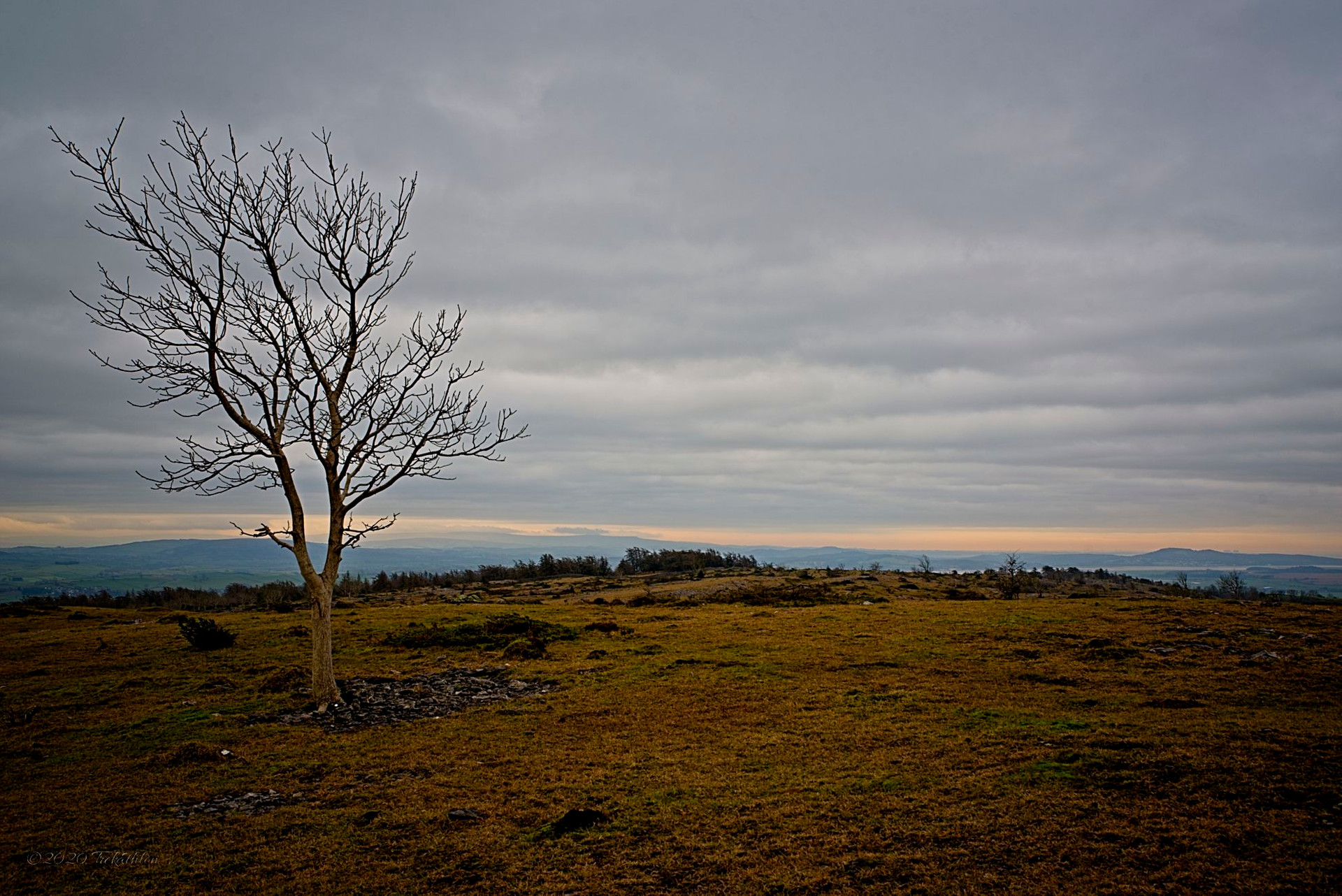 Scout Scar near Kendal